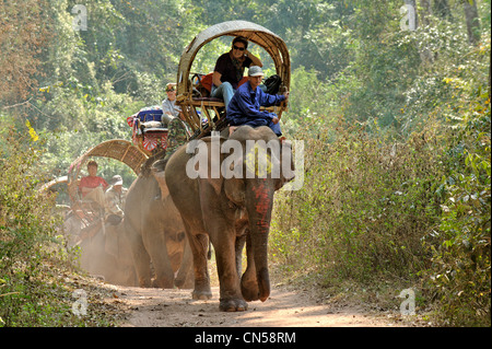 Laos, Sainyabuli Provinz, Hongsa, Wandern Sie auf Elefanten bilden eine Spalte in einem Holz Stockfoto
