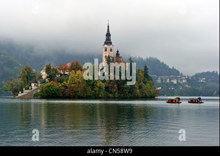 Slowenien, Region Gorenjska, Insel des Bleder Sees, Kirche Mariä Himmelfahrt Stockfoto