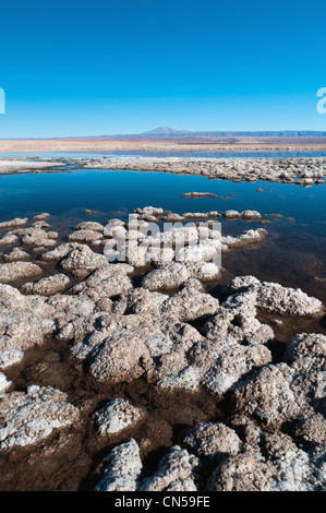 Chile, Antofagasta Region Atacama Wüste, Salar de Atacama, Laguna Tebenquiche Stockfoto