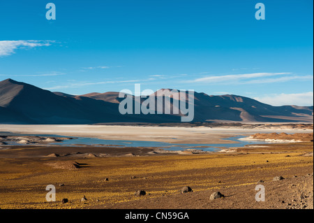 Chile, Antofagasta Region, Atacama-Wüste, Salar de talarer Stockfoto