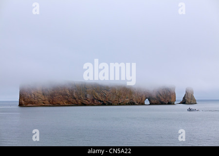 Kanada, Provinz Quebec, Gaspe Halbinsel, Perce und seine berühmten Rocher Perce (Perce Rock) im Morgennebel Stockfoto