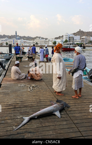 Sultanat von Oman, Maskat, Muttrah Corniche, Fischmarkt, Hammerhai Stockfoto