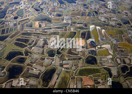 Frankreich, Loire-Atlantique, Guerande, Salzwiesen (Luftbild) Stockfoto