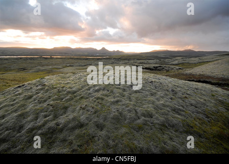 Island, Sudurland, Skaftafell-Nationalpark, vulkanischen Regionen des Lakagigar Stockfoto