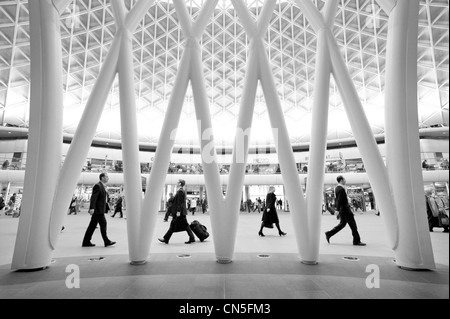 Kings Cross Station, The Western Deimos - ein £ 500 Millionen Regeneration Projekt bietet Europas größte Spannweite Dach. Stockfoto