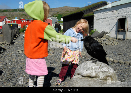 Island, Westfjorde, Region Vestfirðir, Holmavik, zwei Mädchen, die Fütterung eine AAS-Krähe (Corvus Corone) Stockfoto