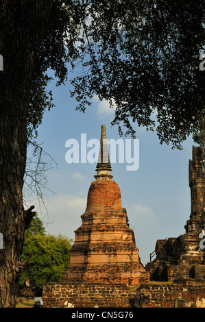 Thailand, Ayutthaya Geschichtspark, Weltkulturerbe der UNESCO, Wat Rachaburana Tempel Stockfoto