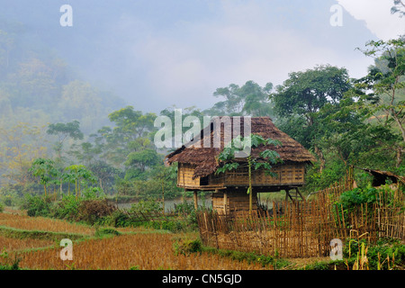 Vietnam, Ninh Binh Province, Cuc Phuong Nationalpark, Ban Hieu, traditionellen Stelzenhaus Stockfoto