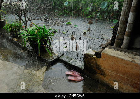 Vietnam, Ninh Binh Province, Bereich den Spitznamen Inland Halong-Bucht, Hoa Lu, Monsoon Regen Stockfoto