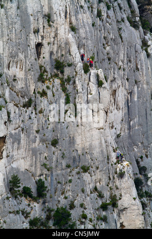 Frankreich, Bouches du Rhone, Marseille, Les Calanques, ein Naturdenkmal geschützt vom Conservatoire de l ' Espace Littoral et des Stockfoto