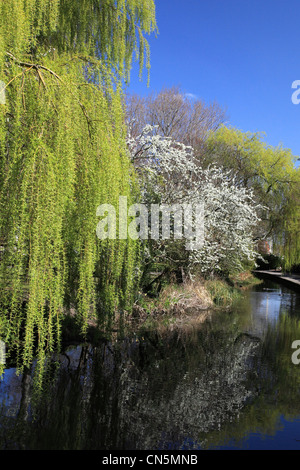 Christchurch Stadt und Fluß Avon, Dorset, England Stockfoto