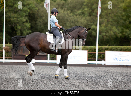 Dressurtrainer auf einem Reittraining in einer Freiluftarena, London, England, Großbritannien. Stockfoto