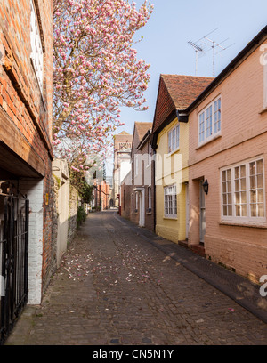 Lombard Street, Petworth, West Sussex, im Frühjahr. Stockfoto