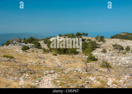 Blick vom Mount von Saint Elias in Richtung Nort West Halbinsel Peljesac, Kroatien Stockfoto