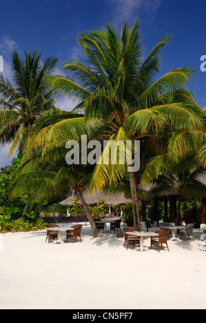 Malediven, Süd Male Atoll, Veliganduhuraa Insel, Hotel Naladhu, sandigen Strand, Liegestühle und Palmen Bäume und Kokospalmen Stockfoto