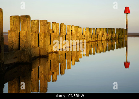 Holz Meer Verteidigung Buhne, Cleethorpes Strand. Stockfoto