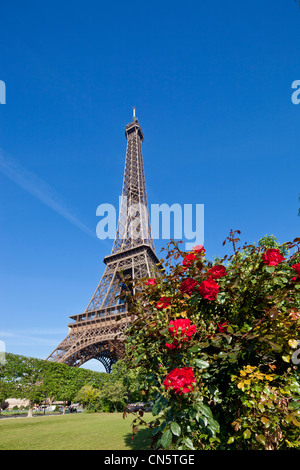 Frankreich, Paris, den Eiffelturm im Frühjahr Stockfoto