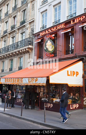 Frankreich, Paris, St. Germain des Prés, die Brasserie Lipp Stockfoto