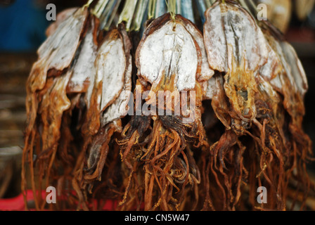 Malaysia, Borneo, Sabah State, Semporna, getrockneter Tintenfisch Stockfoto