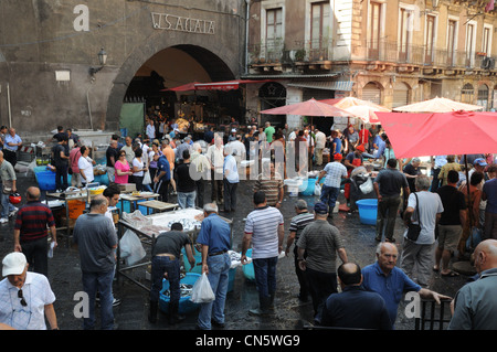 Typische sizilianische Fischmarkt, Catania, Sizilien, Italien Stockfoto