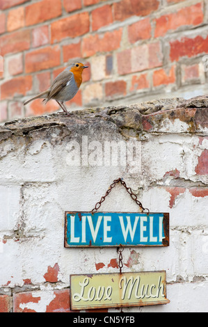 Robin auf einer Gartenmauer über ein Schild mit der Aufschrift "gut leben" "viel Liebe" Stockfoto