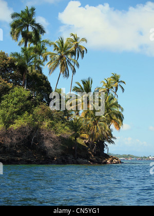 Tropischen Insel mit schönen Palmen Stockfoto