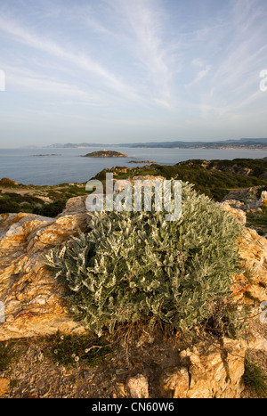 Sehen Sie Frankreich, Var, Île des Embiez, auf der Ile du Grand Rouveau, die Insel und der Leuchtturm Stockfoto