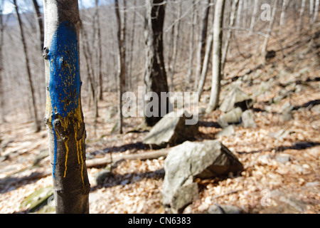 Trail entlang den Frankenstein Klippe Weg in den White Mountains, New Hampshire USA während der Frühlingsmonate Blaze Stockfoto