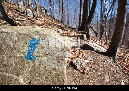 Alten Trail Blaze gemalt auf Felsen entlang den Frankenstein Klippe Weg in den White Mountains, New Hampshire USA während der Frühlingsmonate Stockfoto