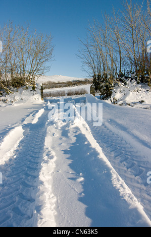 Tiefen Traktor-Reifen Spuren im Neuschnee Führung durch ein Tor in Richtung Bearwalls Farm und Dartmoor Stockfoto