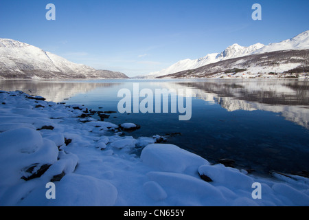 Lyngen Alpen über Sorfjorden nahe Lakeselvdalen Troms-Norwegen Stockfoto