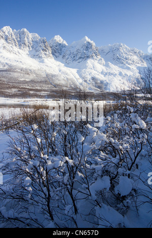 Lyngen Alpen über Sorfjorden nahe Lakeselvdalen Troms-Norwegen Stockfoto