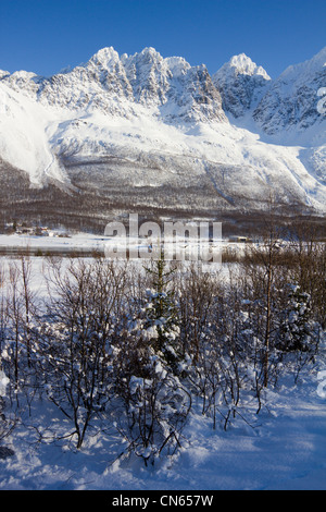 Lyngen Alpen über Sorfjorden nahe Lakeselvdalen Troms-Norwegen Stockfoto