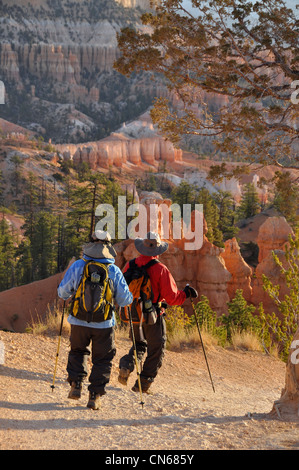 Wanderer im Bryce Canyon National Park in Utah. Stockfoto