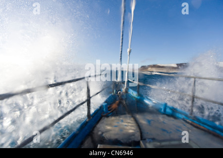 Norwegen, Spitzbergen, Nordaustlandet, Yacht SV Arctica Segeln durch schwere See in Hinlopen-Straße am Sommerabend Stockfoto