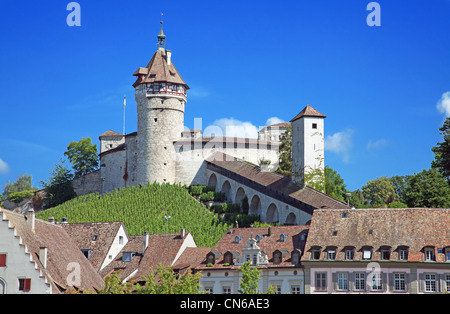 Berühmte Munot Festung in Schaffhausen, umgeben von Weinbergen Stockfoto