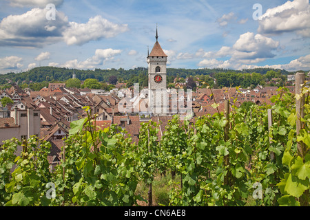 Berühmte Munot Festung in Schaffhausen, umgeben von Weinbergen Stockfoto