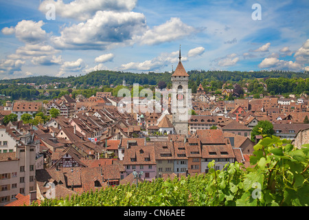 Berühmte Munot Festung in Schaffhausen, umgeben von Weinbergen Stockfoto