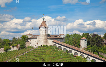 Berühmte Munot Festung in Schaffhausen, umgeben von Weinbergen Stockfoto