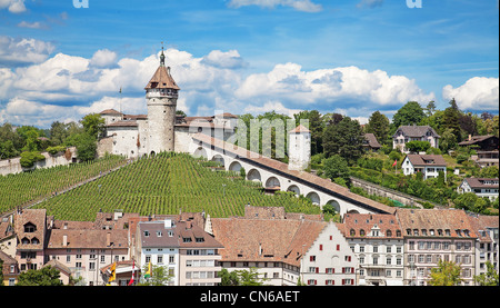 Berühmte Munot Festung in Schaffhausen, umgeben von Weinbergen Stockfoto