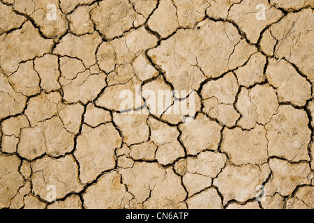 Getrocknete Erde, Blakeney, Norfolk, Großbritannien Stockfoto