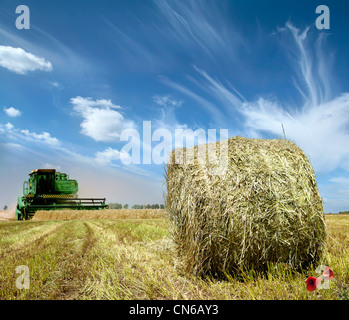 Bauern Feld voller Strohballen Stockfoto