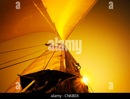 Segeln Sie über warme gelbe Sonnenuntergang Himmel, Segelboot über natürlichen Hintergrund Stockfoto