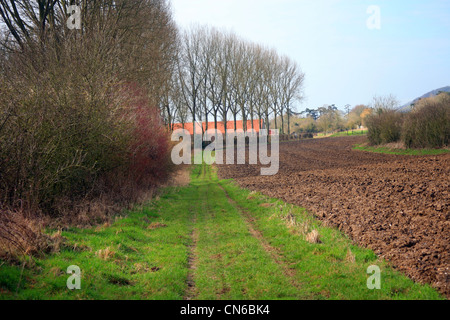 TRACKWAY aus Rue de Pres du Roi, Tournehem Sur la Saum, Pas-De-Calais, Frankreich Stockfoto