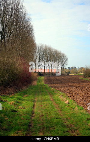 TRACKWAY aus Rue de Pres du Roi, Tournehem Sur la Saum, Pas-De-Calais, Frankreich Stockfoto