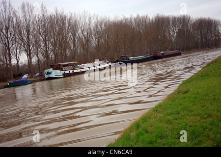 Lastkähne auf Canal de Neufosse, zitieren, Saint-Michel, Watten, Nord, Frankreich Stockfoto