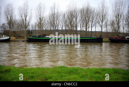 Lastkähne auf Canal de Neufosse, zitieren, Saint-Michel, Watten, Nord, Frankreich Stockfoto