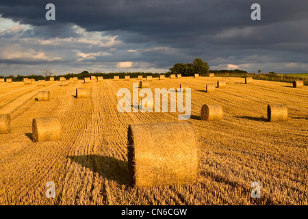 Strohballen unter Gewitterhimmel, Swinbrook, Cotswolds, Vereinigtes Königreich Stockfoto