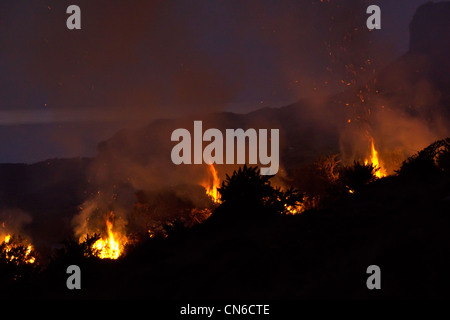 Heather Ginster Feuer in der Nacht, Skye Stockfoto