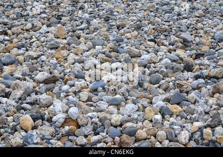 Kiesel am Strand. Etwas breitere Ansicht. Für 'Fall auf steinigen Boden', Warnungen oder Ratschläge ignoriert etc., International Rock Day, lassen Sie keinen Stein ungewendet. Stockfoto